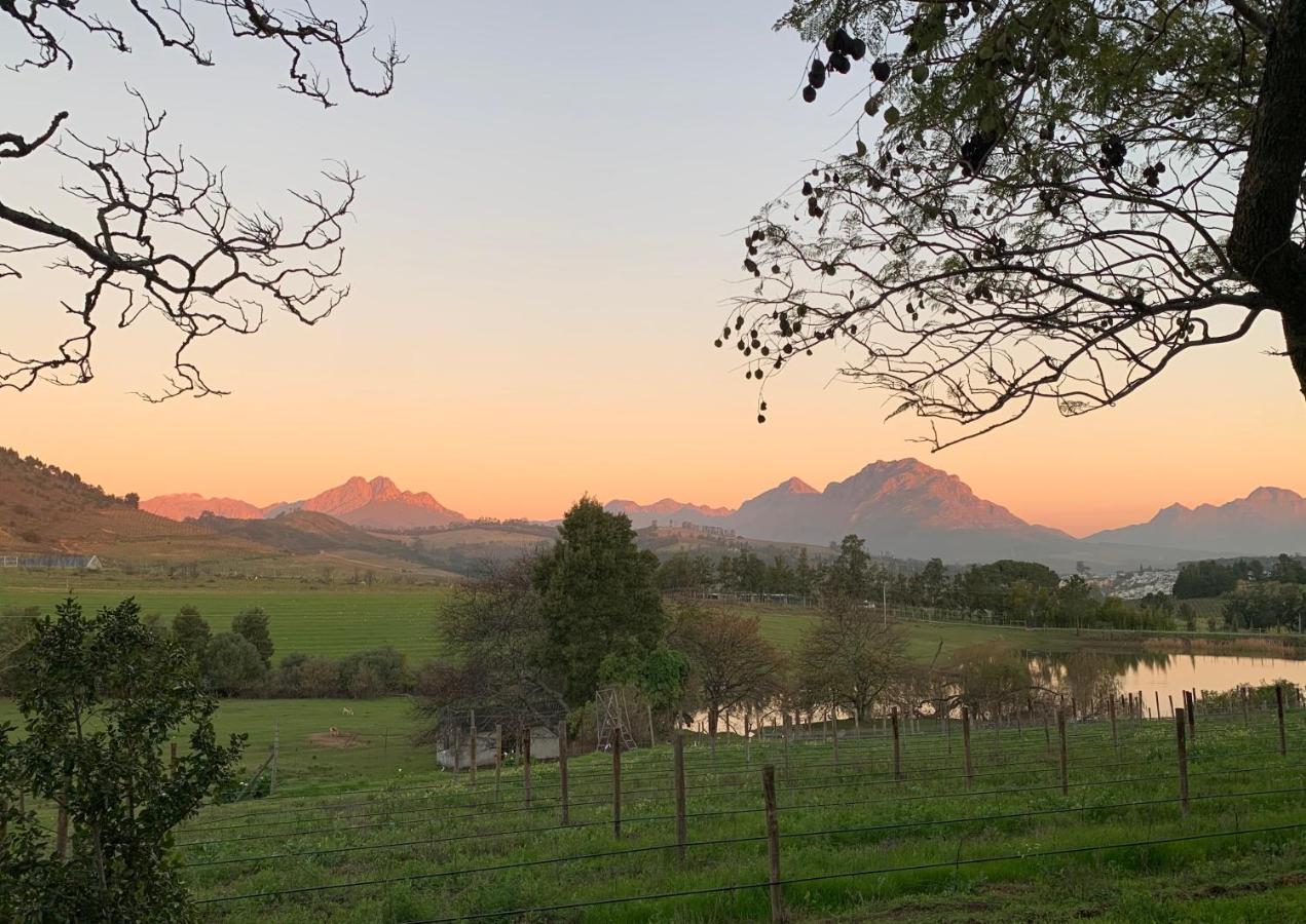 Villa Wildlife Retreat On A Wine-Farm Stellenbosch Exterior foto
