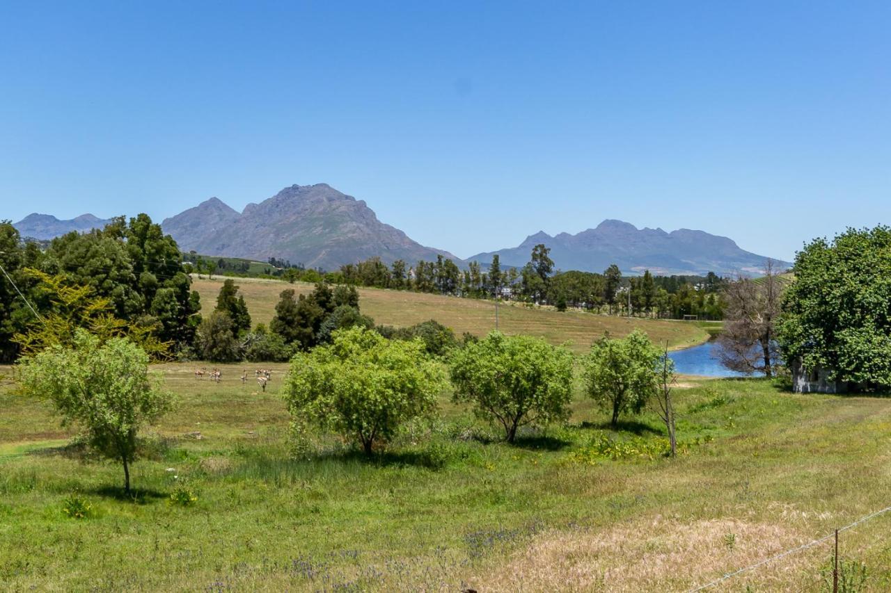 Villa Wildlife Retreat On A Wine-Farm Stellenbosch Exterior foto